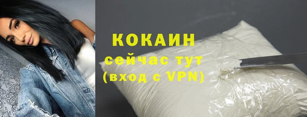 ALPHA PVP Козельск