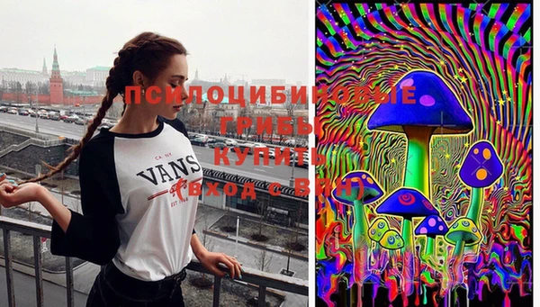 ешки Козловка