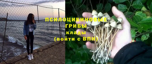 ешки Козловка