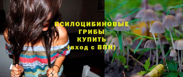 ALPHA PVP Козельск