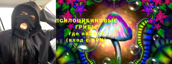 ешки Козловка