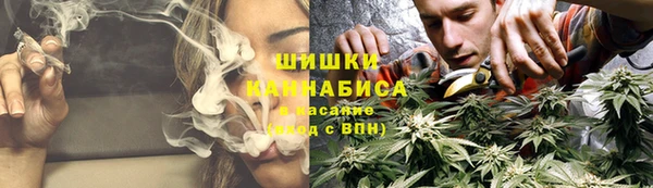 ешки Козловка