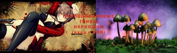 ALPHA PVP Козельск